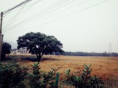 -穹窿山景区