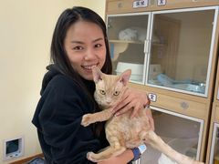 -猫和宫(六道口店)