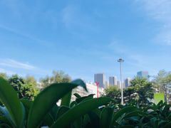 -白石龙音乐公园