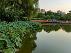 -城市运动公园(未央区)