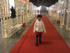 -北京亚布洛尼朝阳公园滑雪场