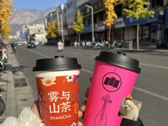 -雾与山茶(大禹城店)