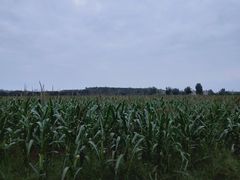 -汉长安城未央宫国家考古遗址公园