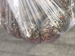-叶氏麻糍(鼓浪屿店)