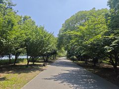 -石湖景区