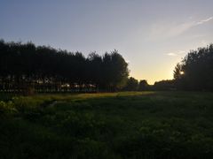 -东郊湿地公园