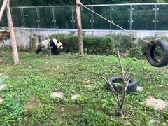 -黔灵山公园