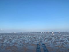 -南汇嘴观海公园