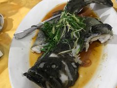 -蚝专家(北滘店)