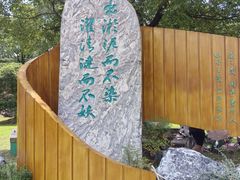 -荷塘月色湿地公园·向阳花洲