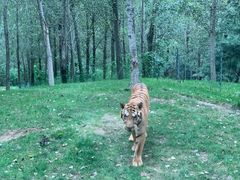 -北京野生动物园