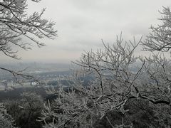 -紫金山山顶公园