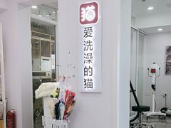 -爱洗澡的猫(望京店)