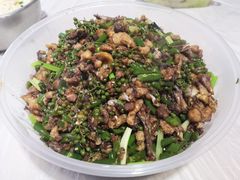 -铁山坪森林公园