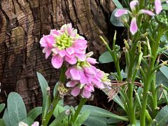 -一尺花园(安和花园店)