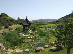 -龙寺生态园