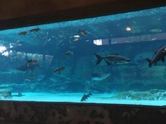 -河川生态园