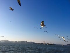 -海驴岛(荣成市)