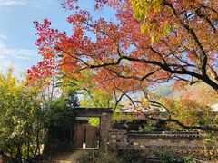 -塔川景区