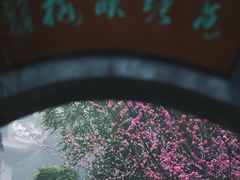 -成都杜甫草堂博物馆