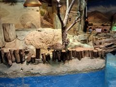 -正佳雨林生态植物园