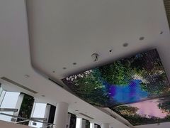 -平安金融中心云际观光层