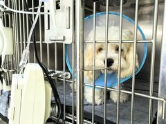 -酷宠动物医院(天通西苑店)