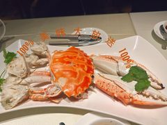 -百乐潮州酒家(时代广场店)