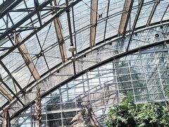 -南山植物园