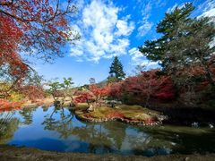-奈良公园