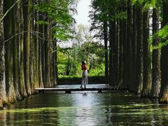 -渌洋湖湿地公园