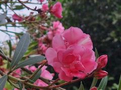 -长广溪湿地公园