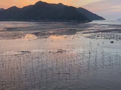 -北岐滩涂