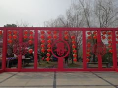 -香雪海