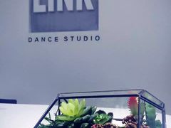 -Link舞蹈机构(观音桥店)
