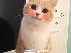 -朋友的火锅店(辽大店)