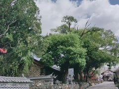 -玉湖村
