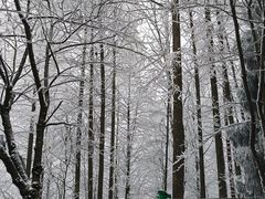 -太阳湾风景区