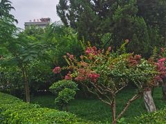 -莲湖公园