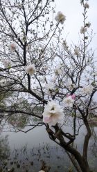 -玄武湖景区-情侣园游乐场