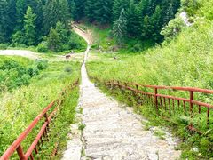 -芦芽山旅游度假区