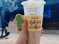 -猫的魔法密林(衣裳街店)