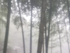 -江南天池高山汤泉城