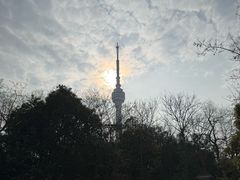 -龟山风景区-龟山电视塔