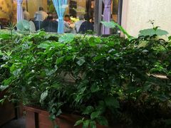 -晶泽丽琅·鱼鲜川菜(川师店)