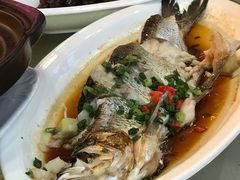 -千岛湖品鱼馆(钓鱼岛店)