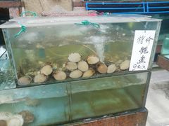 水产区-珠江餐厅