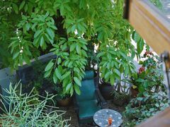 -时光花园(白鹭洲店)