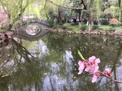 -墅园