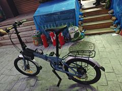 -道路口单车爱瓦士dahon大行